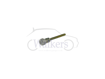 Reverse Light Lens Screw
