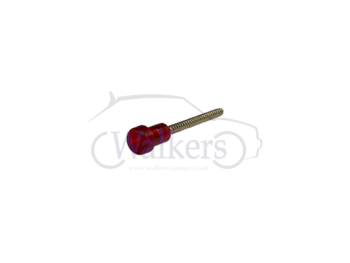 Rear Light Lens Screw - Red