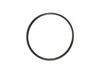 Viscous O-Ring Seal