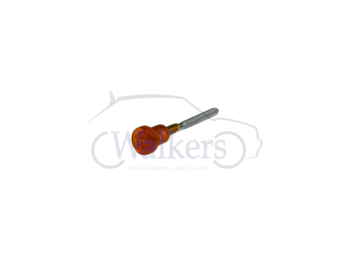 Rear Light Lens Screw - Orange